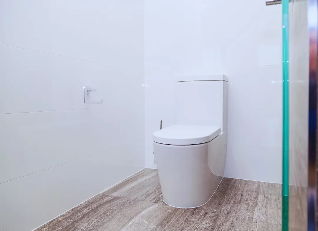 Remplacement de wc Hettange-Grande